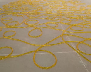 Tony Feher, Untitled, 2011 (detail)