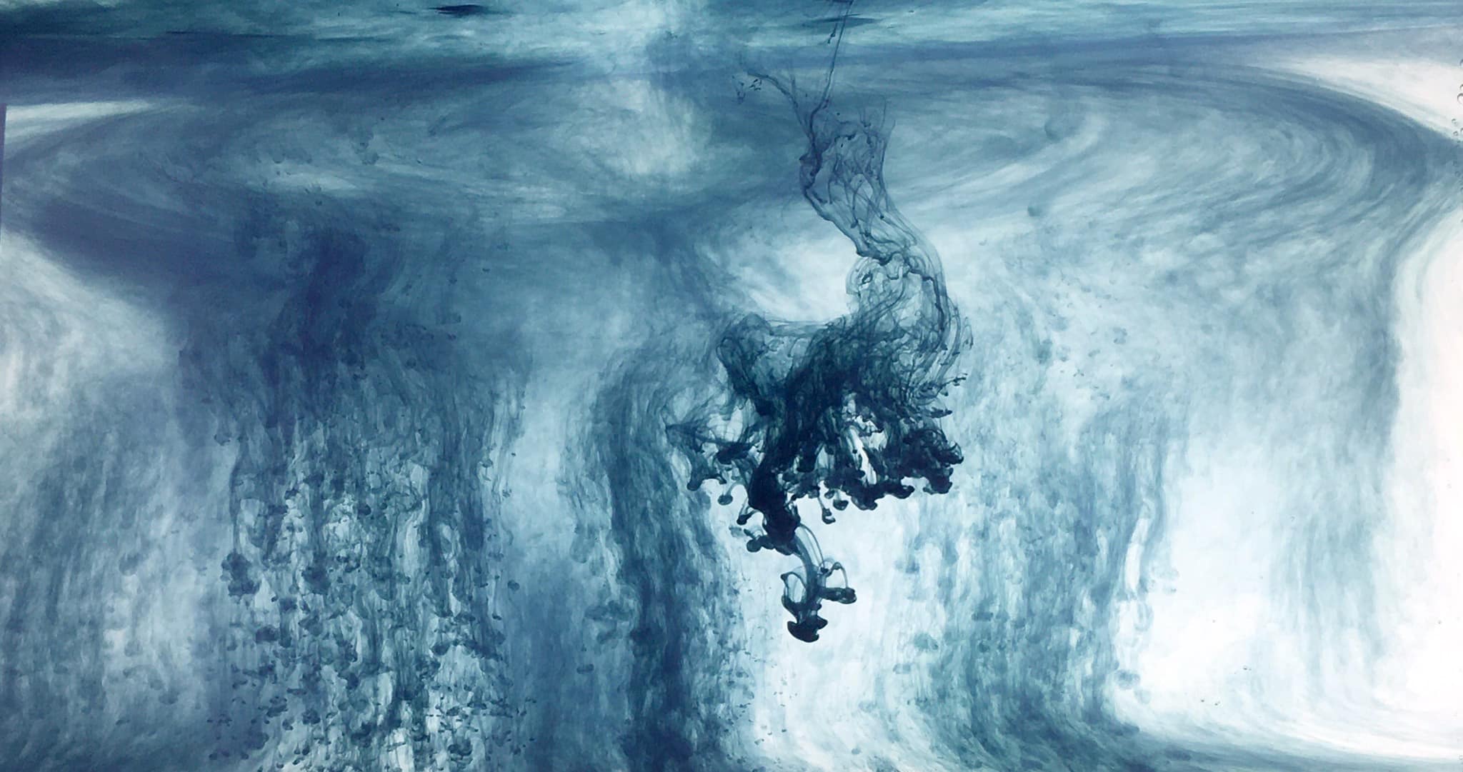 Image of Nick Vaughan and Jake Margolin's video installation