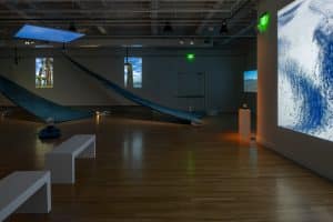 Installation view of the exhibition Nick Vaughan and Jake Margolin - 50 States: Louisiana at DiverseWorks