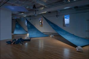 Installation view of the exhibition Nick Vaughan and Jake Margolin - 50 States: Louisiana at DiverseWorks