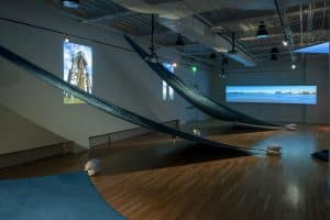 Installation view of the exhibition Nick Vaughan and Jake Margolin - 50 States: Louisiana at DiverseWorks