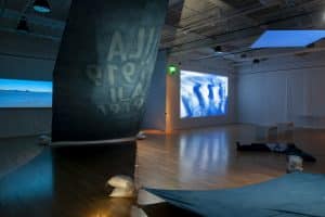 Installation view of the exhibition Nick Vaughan and Jake Margolin - 50 States: Louisiana at DiverseWorks
