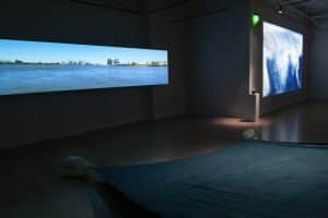 Installation view of the exhibition Nick Vaughan and Jake Margolin - 50 States: Louisiana at DiverseWorks