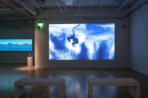 Installation view of the exhibition Nick Vaughan and Jake Margolin - 50 States: Louisiana at DiverseWorks
